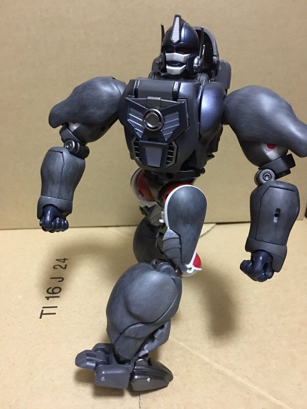 MP 32 Masterpiece Optimus Primal   In Hand Photos Surface On Twitter  (5 of 81)